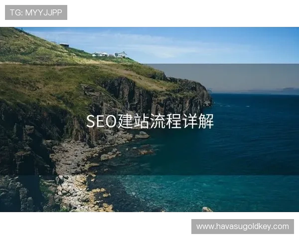 飞驰在线注册平台注册流程优化提升用户体验的关键措施